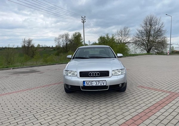 Audi A4 cena 11500 przebieg: 355000, rok produkcji 2002 z Olecko małe 37